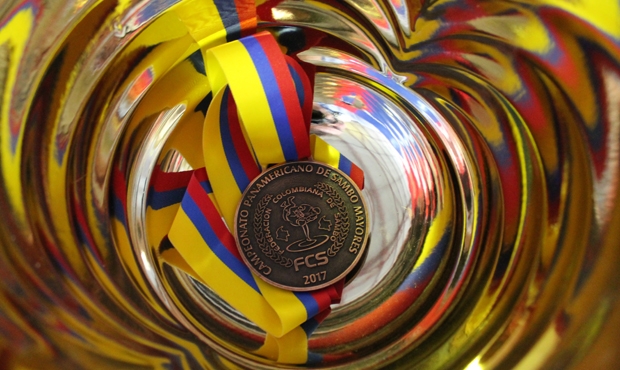 What winners of the 2nd day of the Pan-American Championships in Colombia were talking about